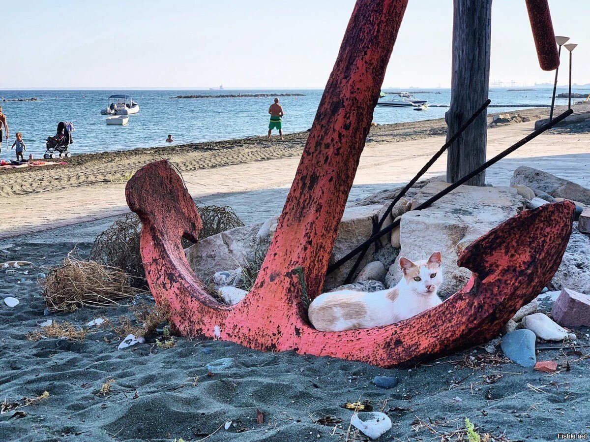морячок