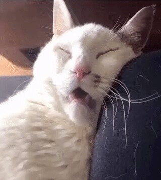 Спит, как мой батя