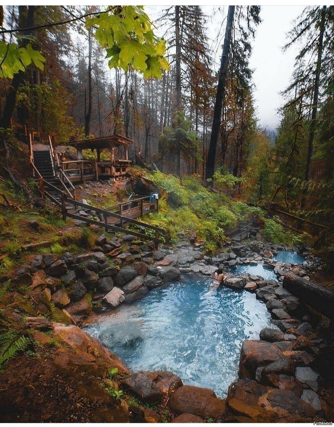 Солянка
