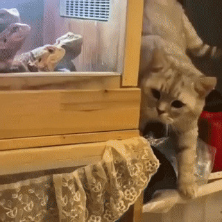 Охотничек