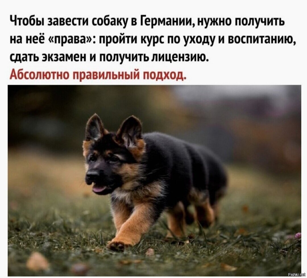 И с соседей получить согласие