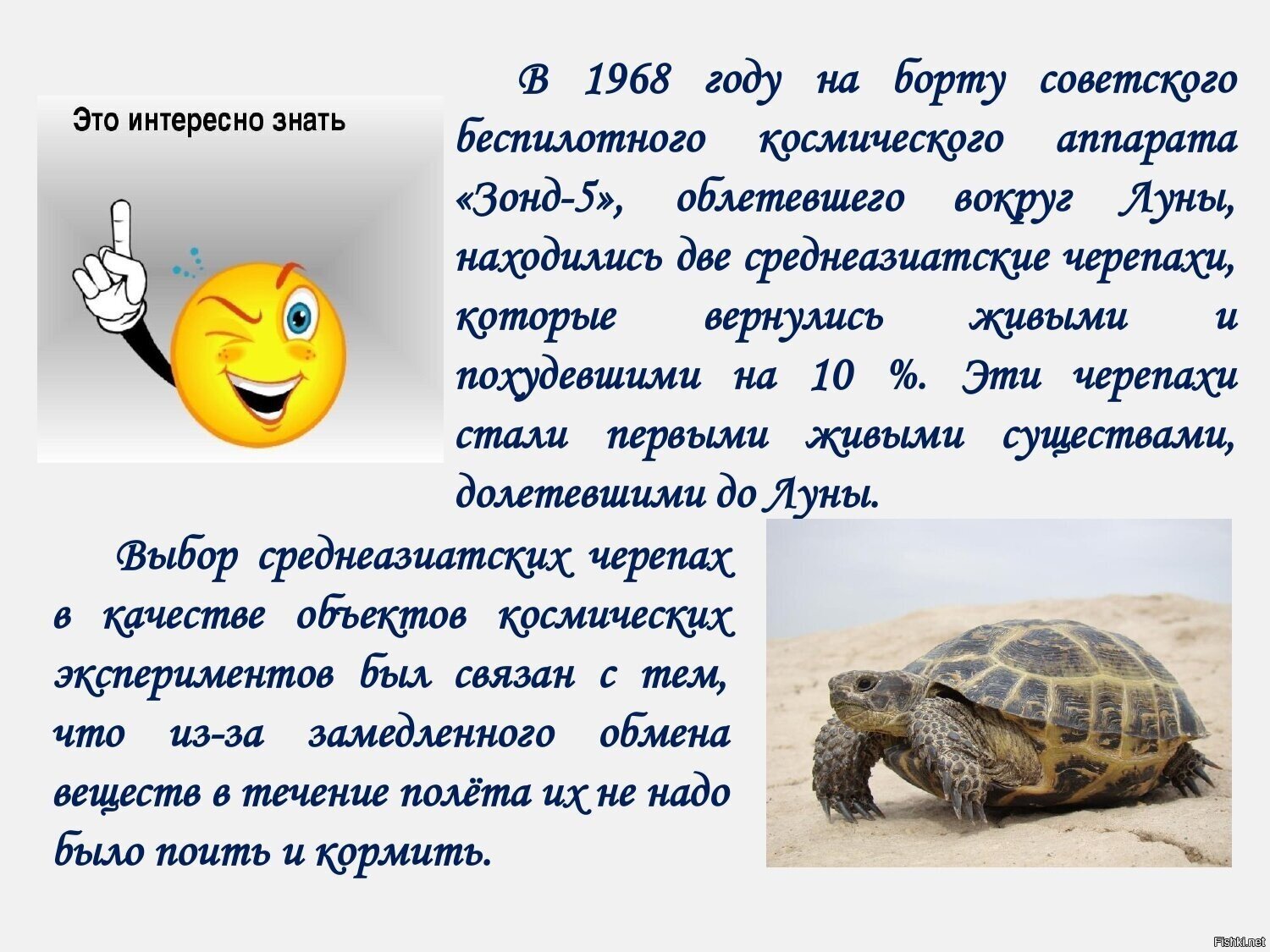 А вы знали 