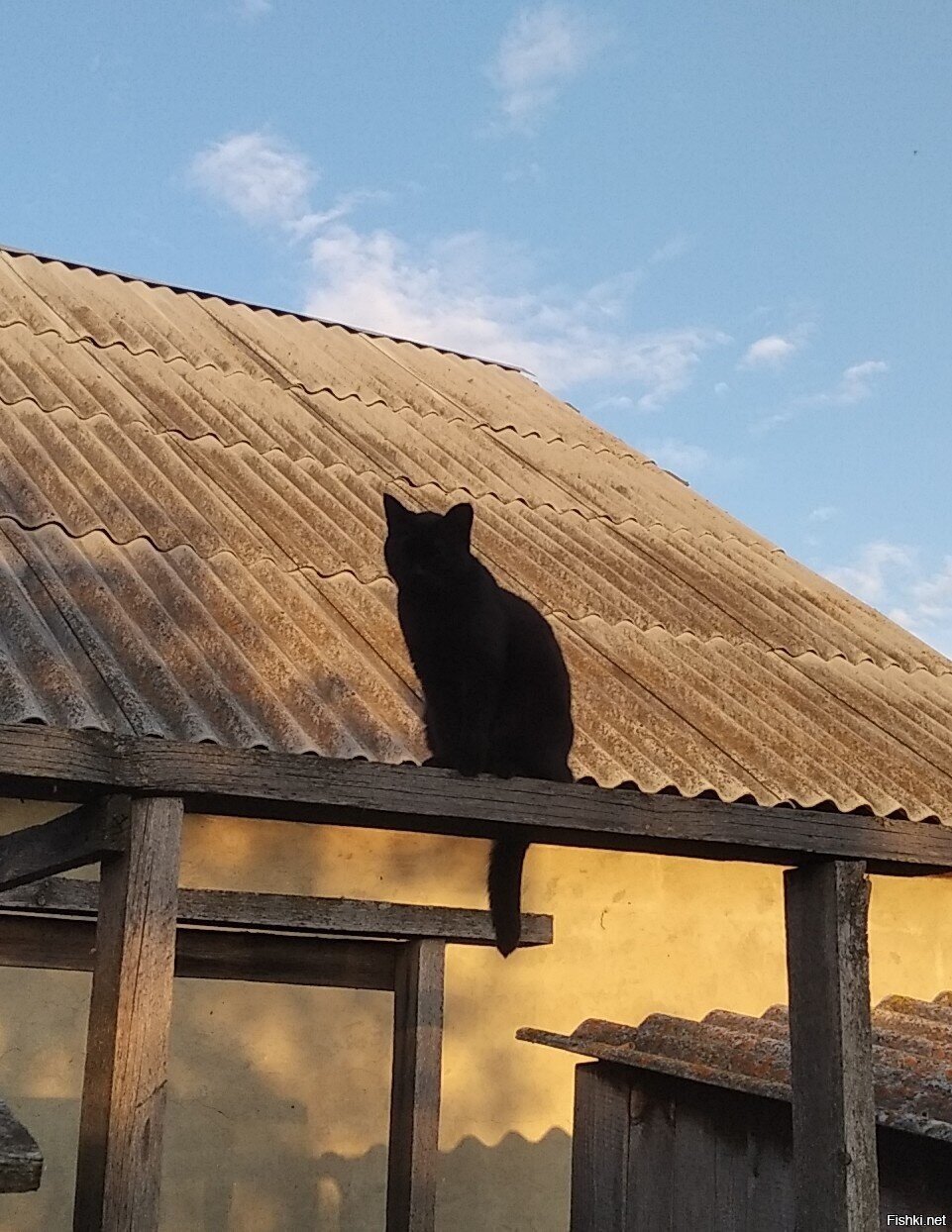 Этому городу нужен новый герой