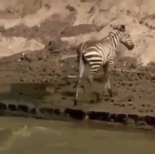 не сегодня