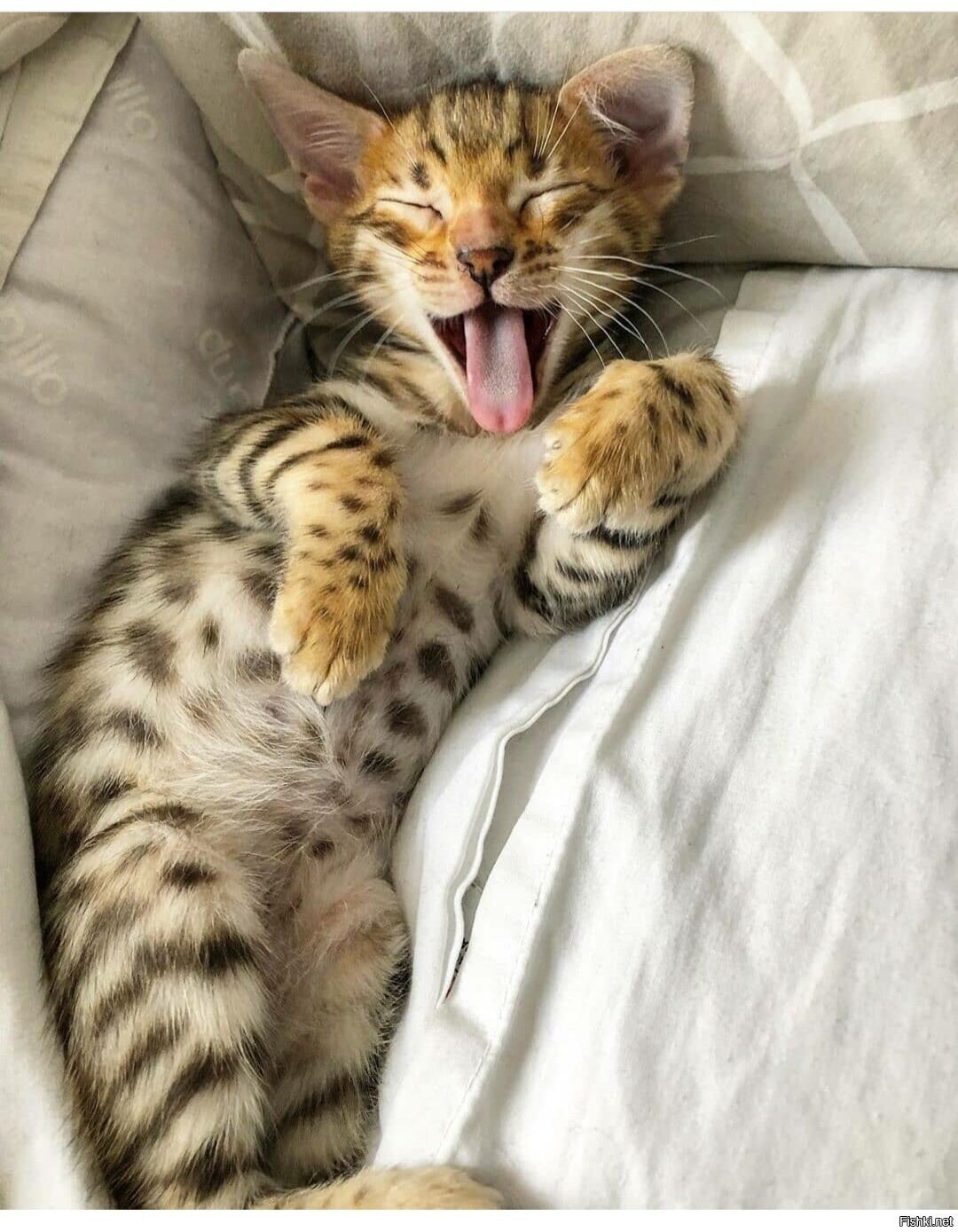 Уютных выходных