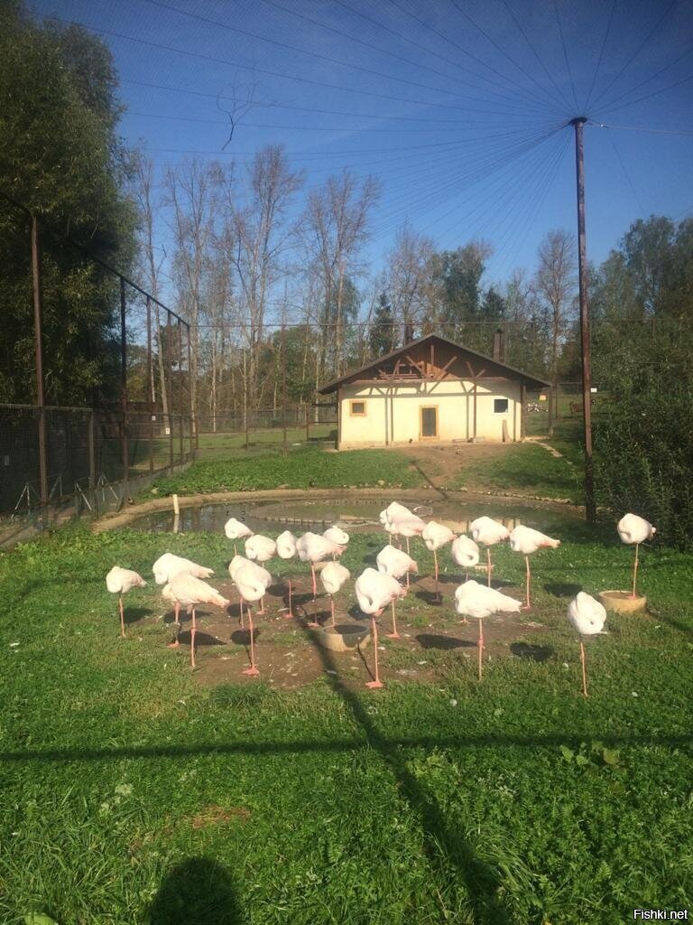 Сонное царство 