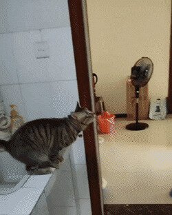 спать захочешь, не так раскорячишься