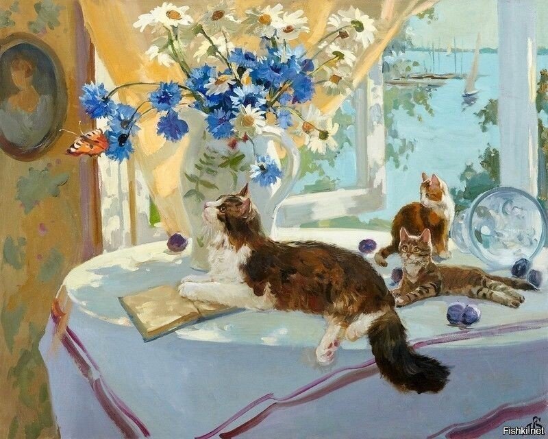 Солянка
