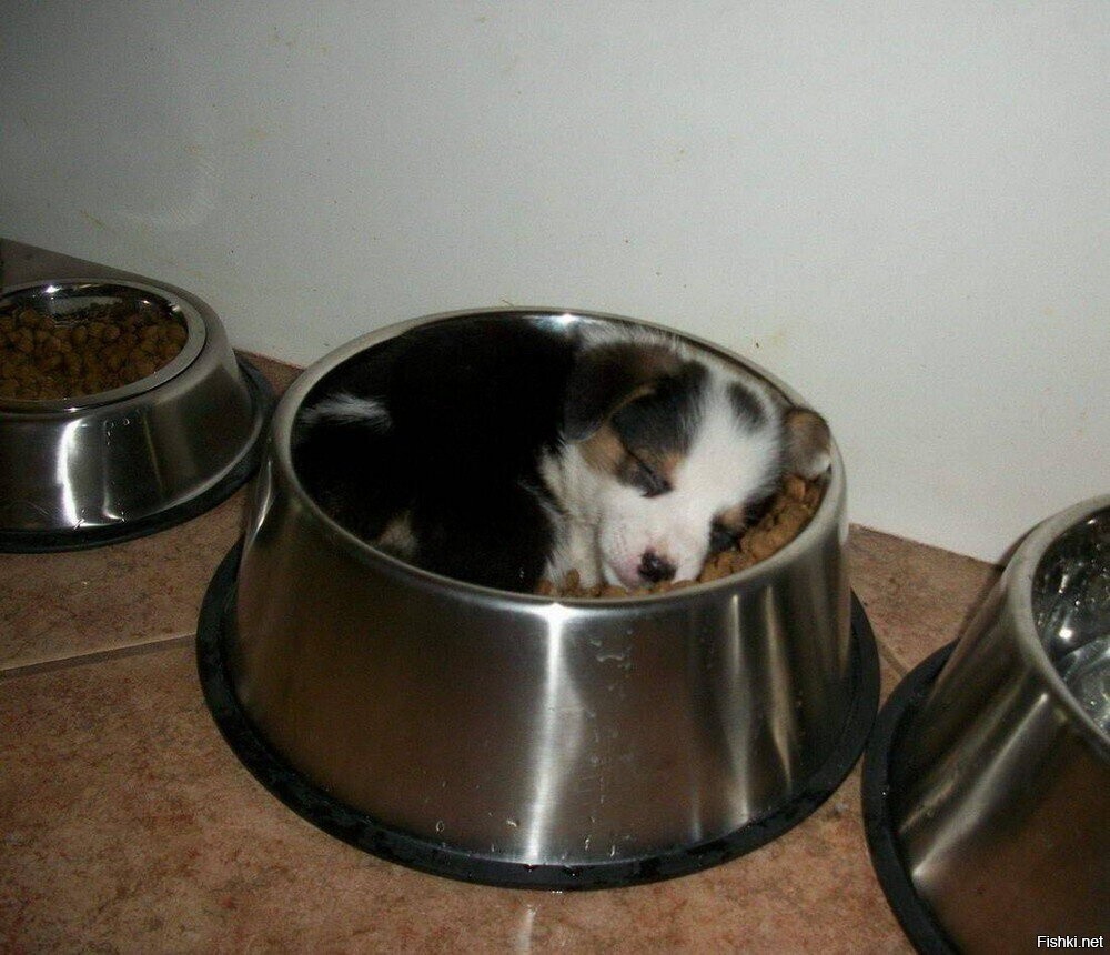 Солянка