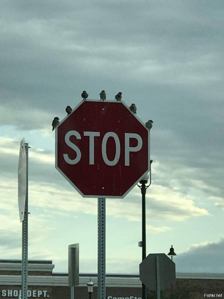 э, стопэ