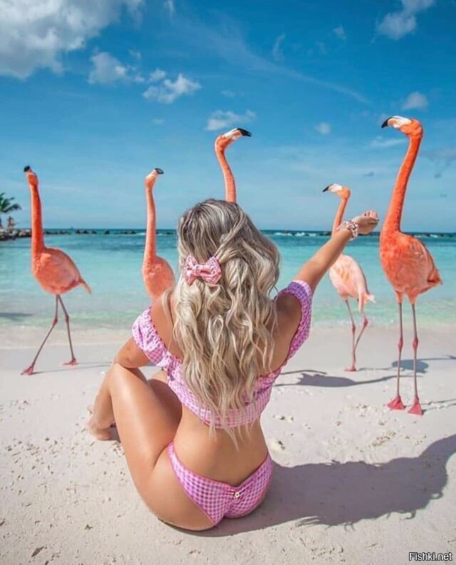 Доброе утро