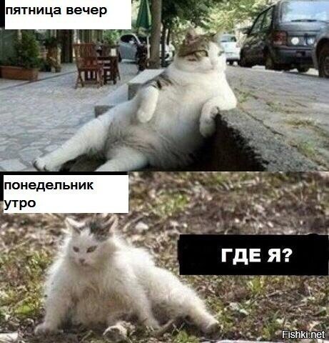 утро