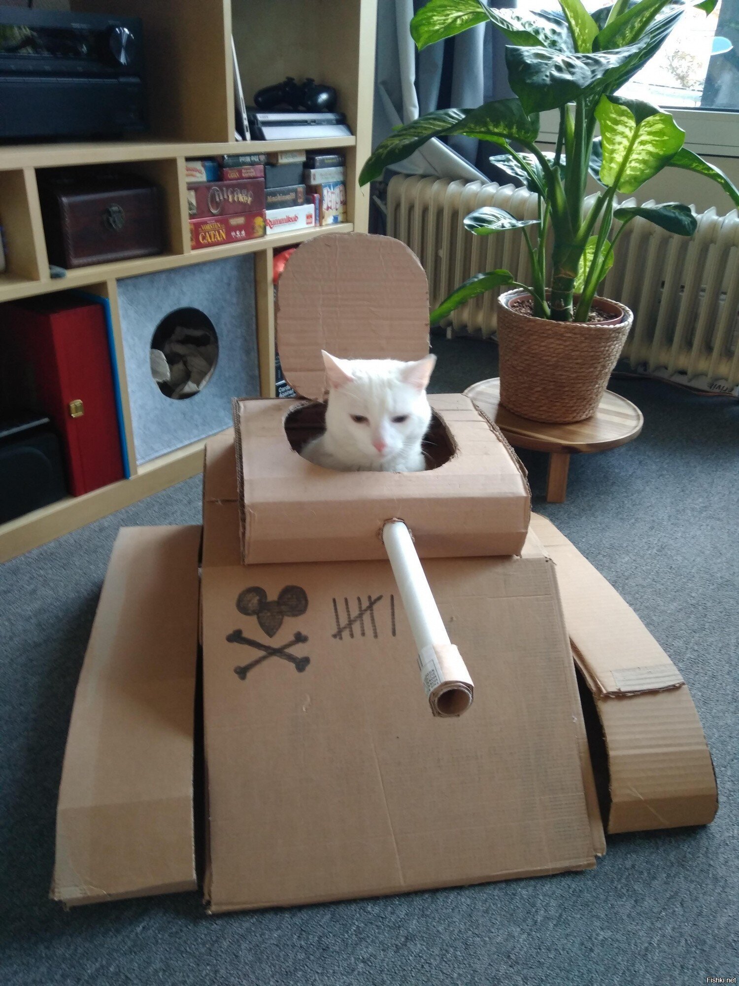 Солянка