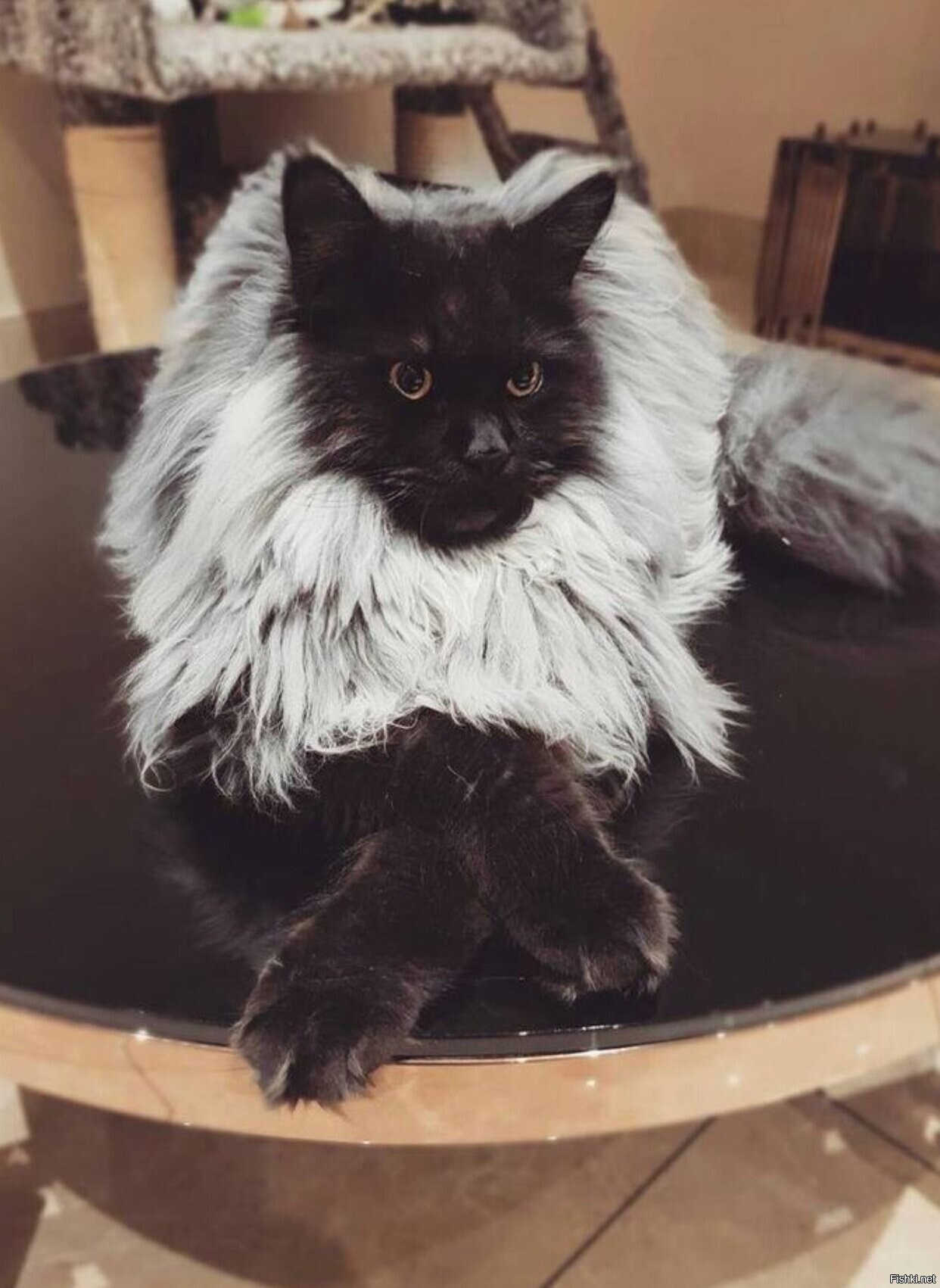 Солянка