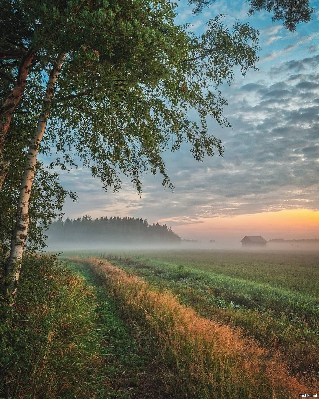 Солянка