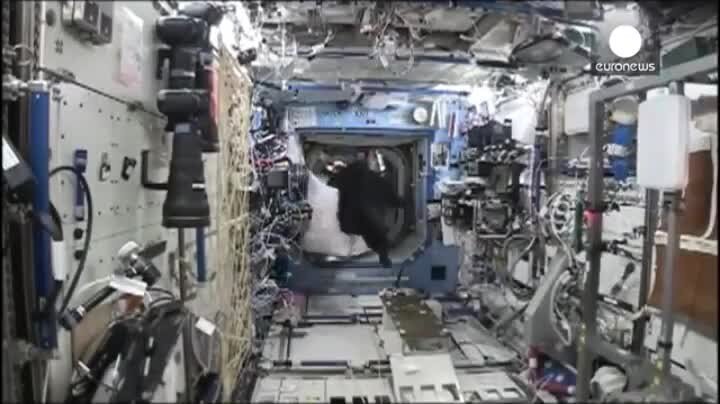 что там у них происходит