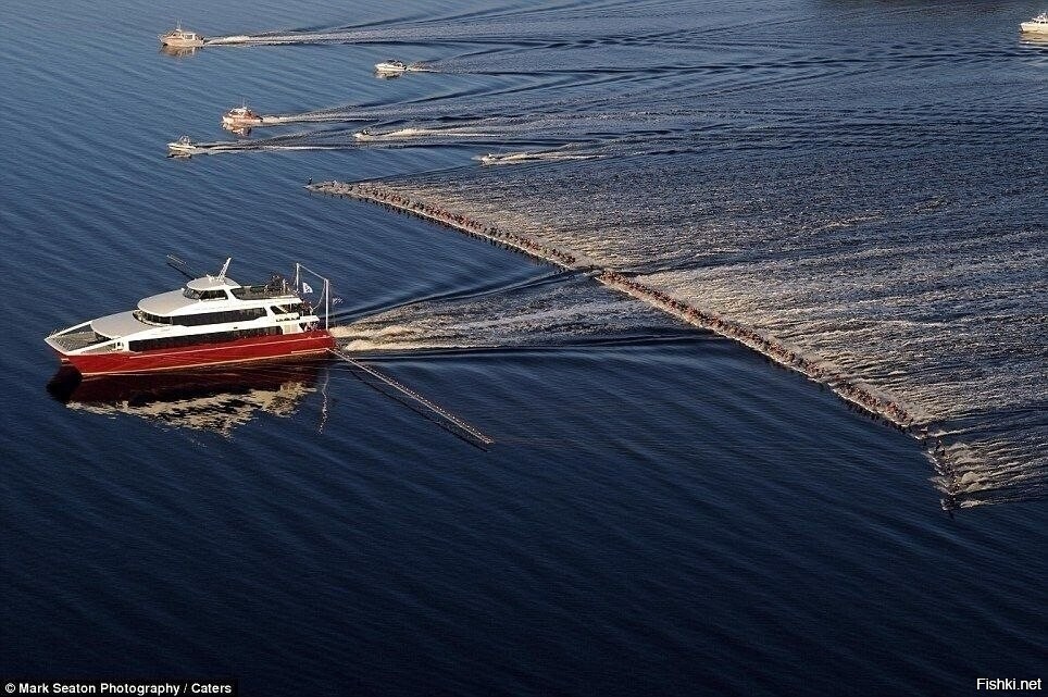 145 лыжников