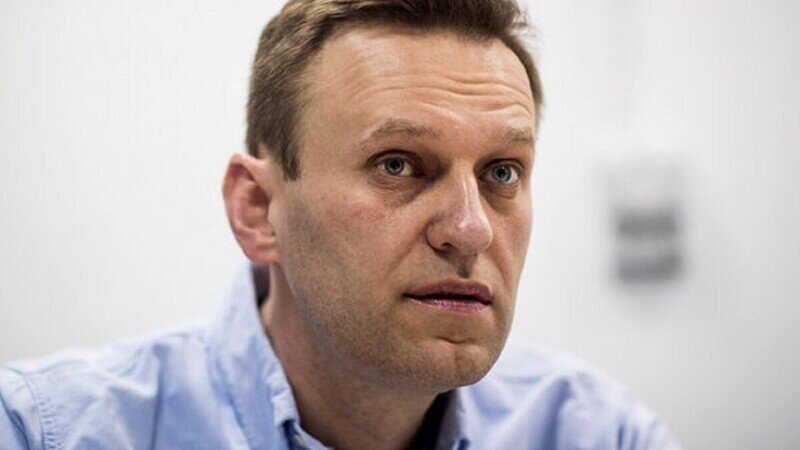 Журналист Кашин указал на роль Певчих в сибирской поездке Навального