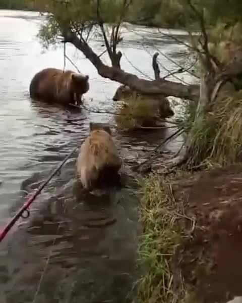 Наш народ непобедим