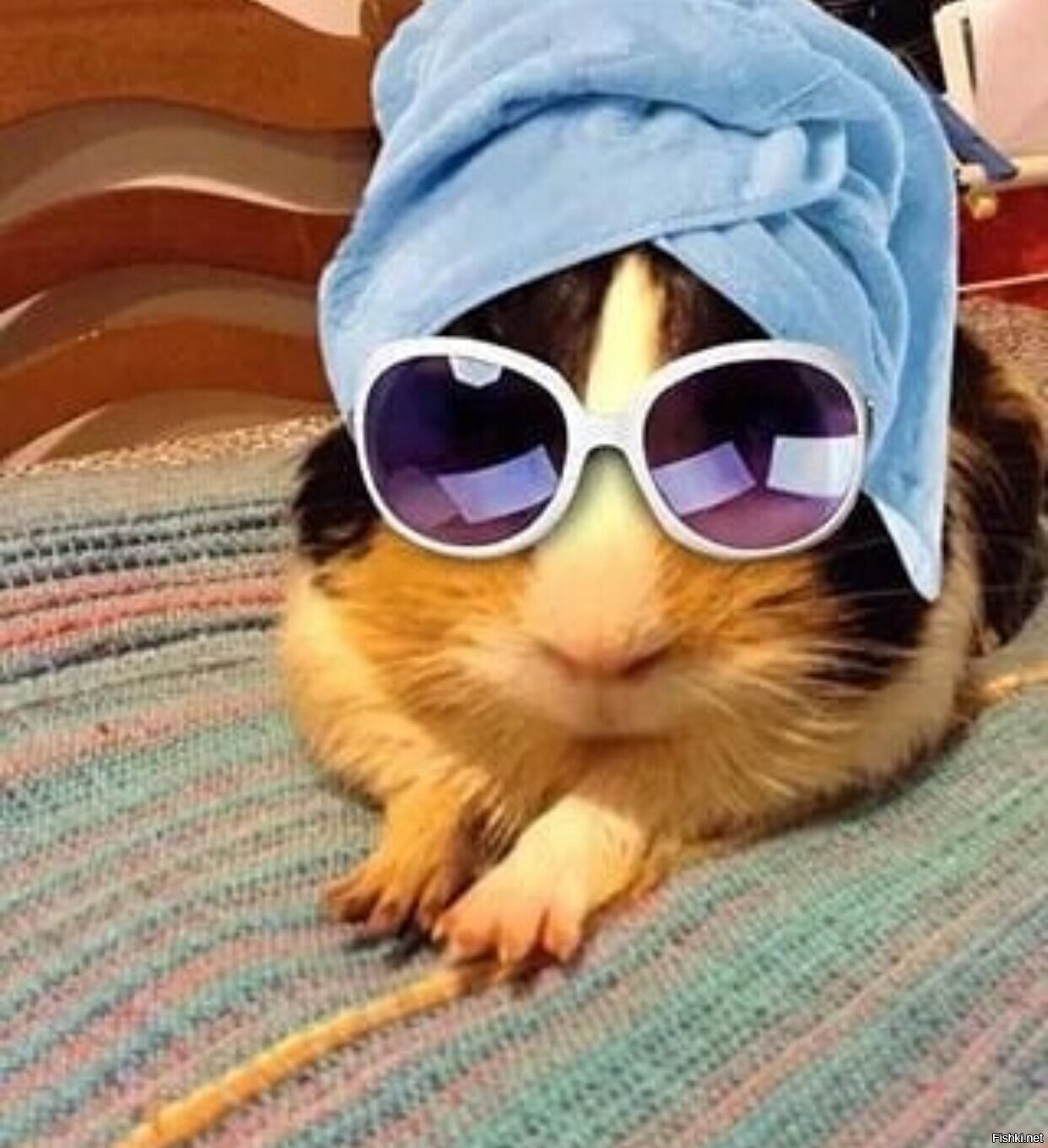 Солянка