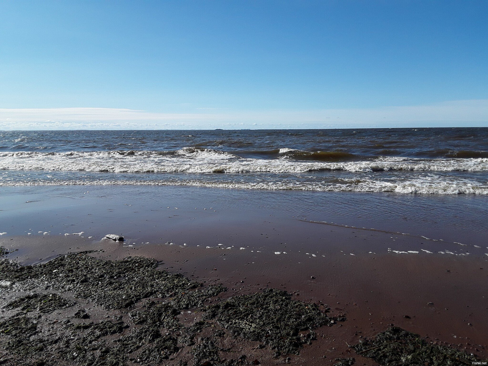 Финский залив