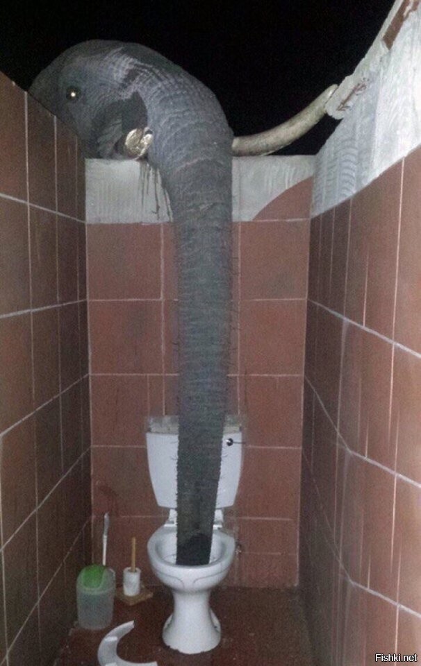 ....но по ночам пил холодную воду