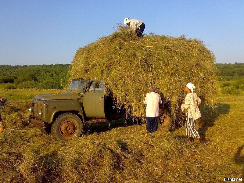 Солянка