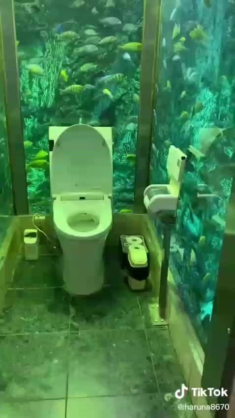 Вот это туалет у японочки