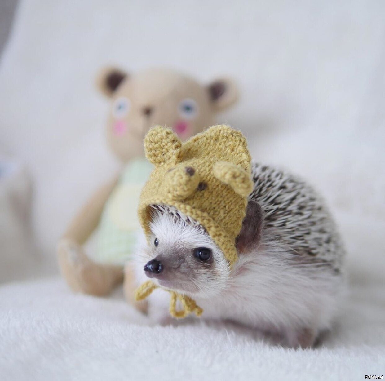 Солянка