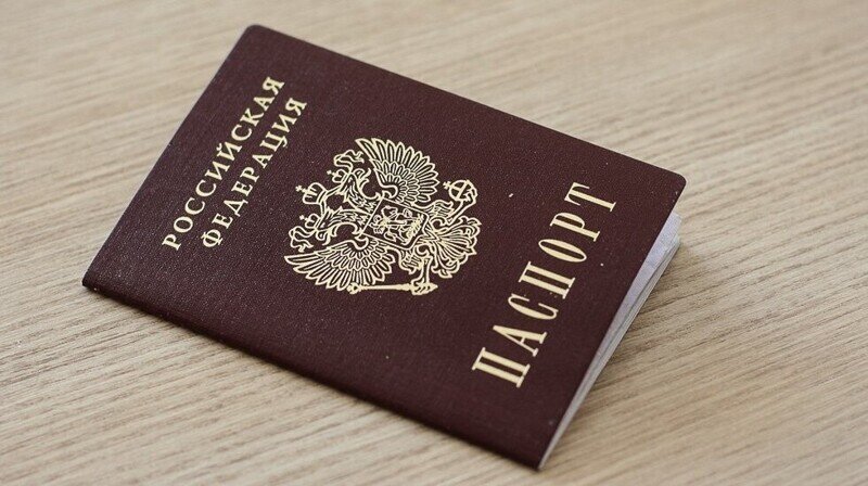 Правительство вводит долгосрочные визы для иностранцев — родственников россиян