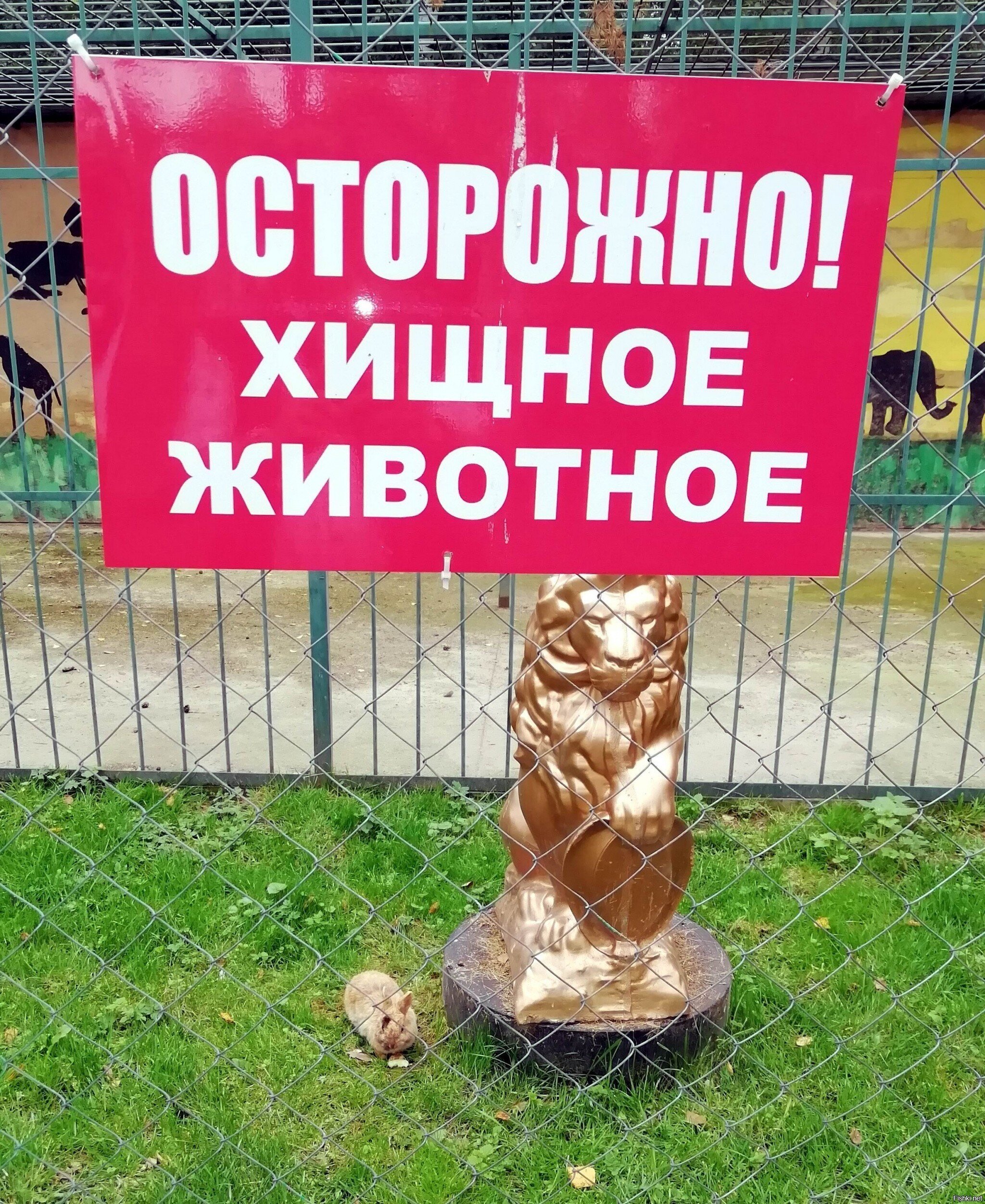 Страшнее зайца зверя нет