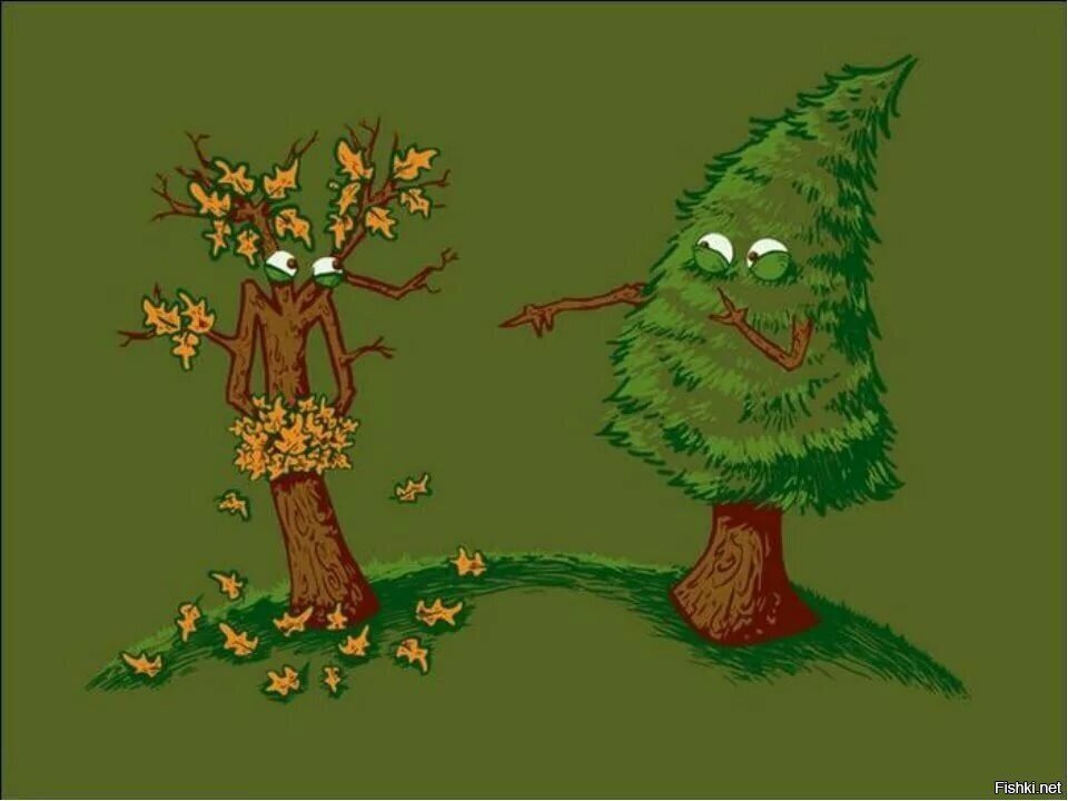 Солянка