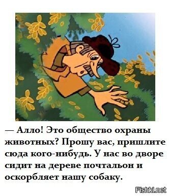 Солянка