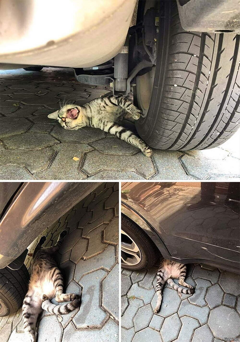 Солянка