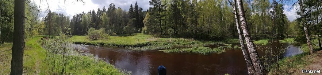 Можно я тоже воспользуюсь случаем и запилю природу прям в ленту