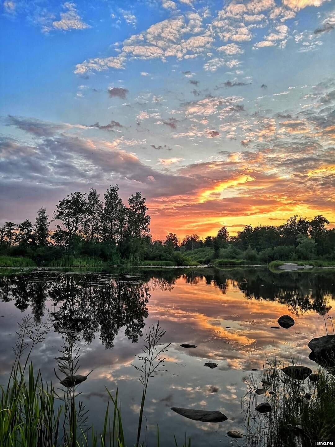 Солянка