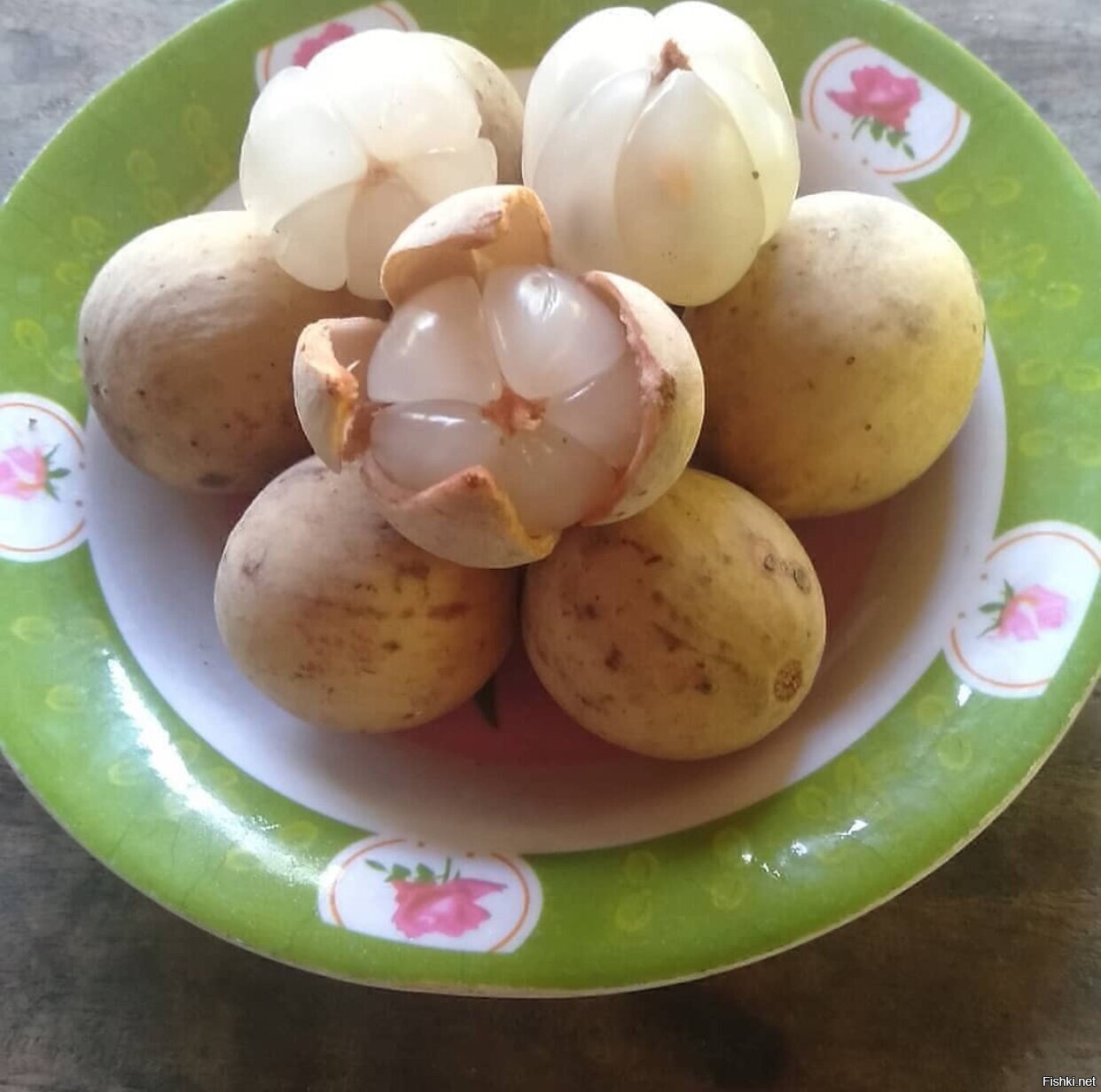 Солянка
