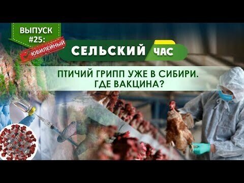 Птичий грипп уже в Сибири. Где вакцина? Сельский час #25 (Игорь Абакумов)