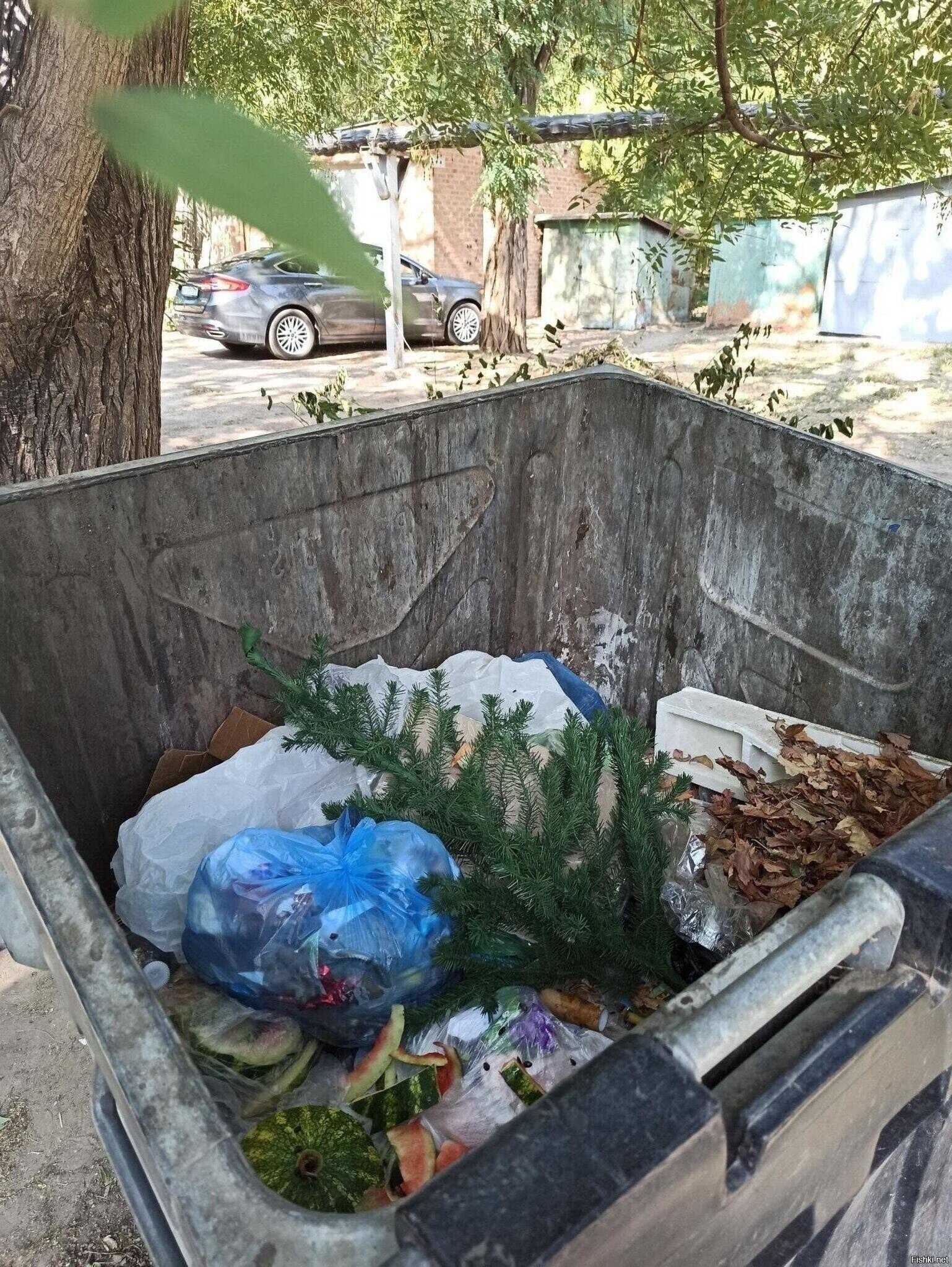 Сегодняшнее фото,  20 - е сентября