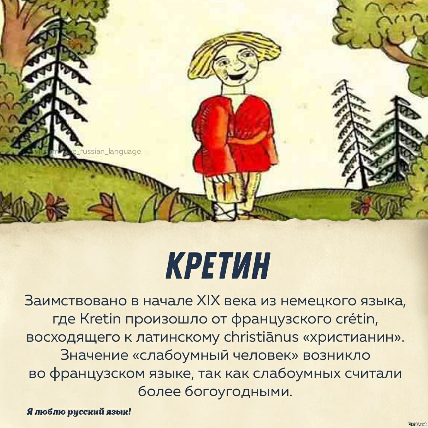 Солянка