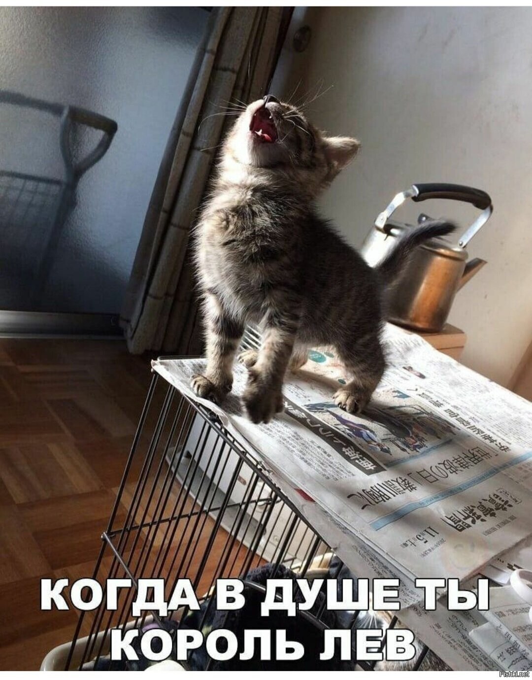 Солянка