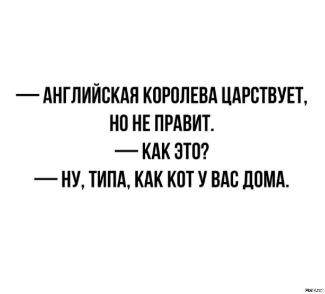 С котом я не уверен