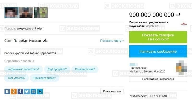 «Барсик» за 900 миллиардов рублей