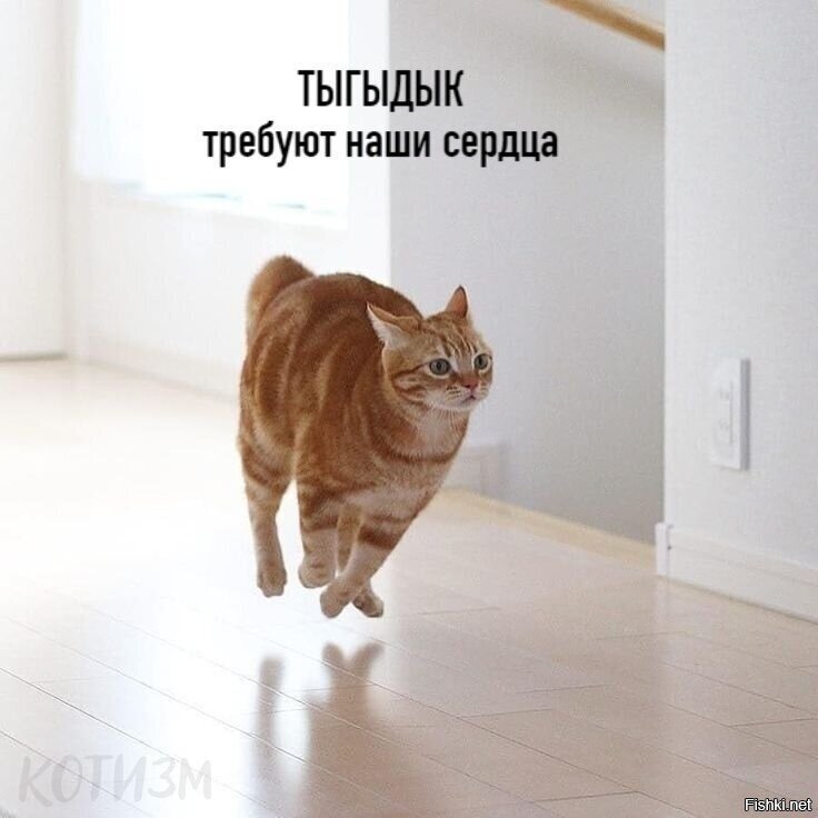 Вы это пропоёте