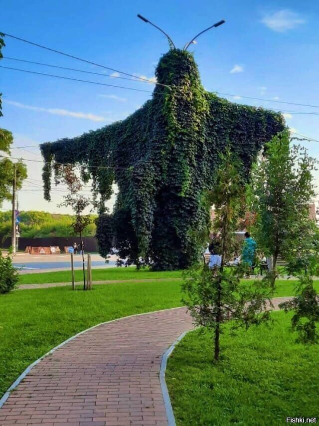 Солянка