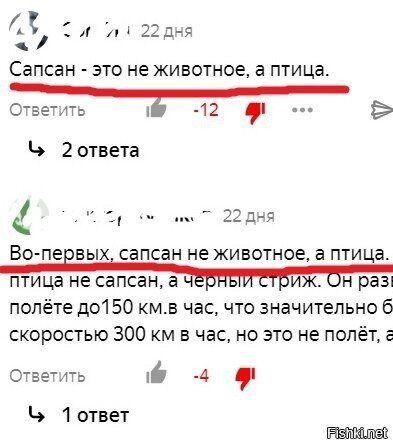 Коментарии к статье о самом быстром животном (сапсан)