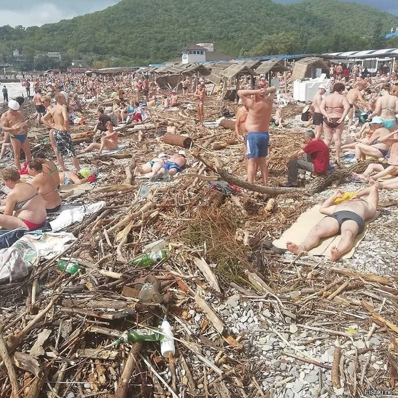 Солянка