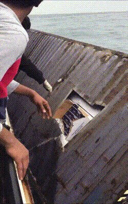Вот это улов