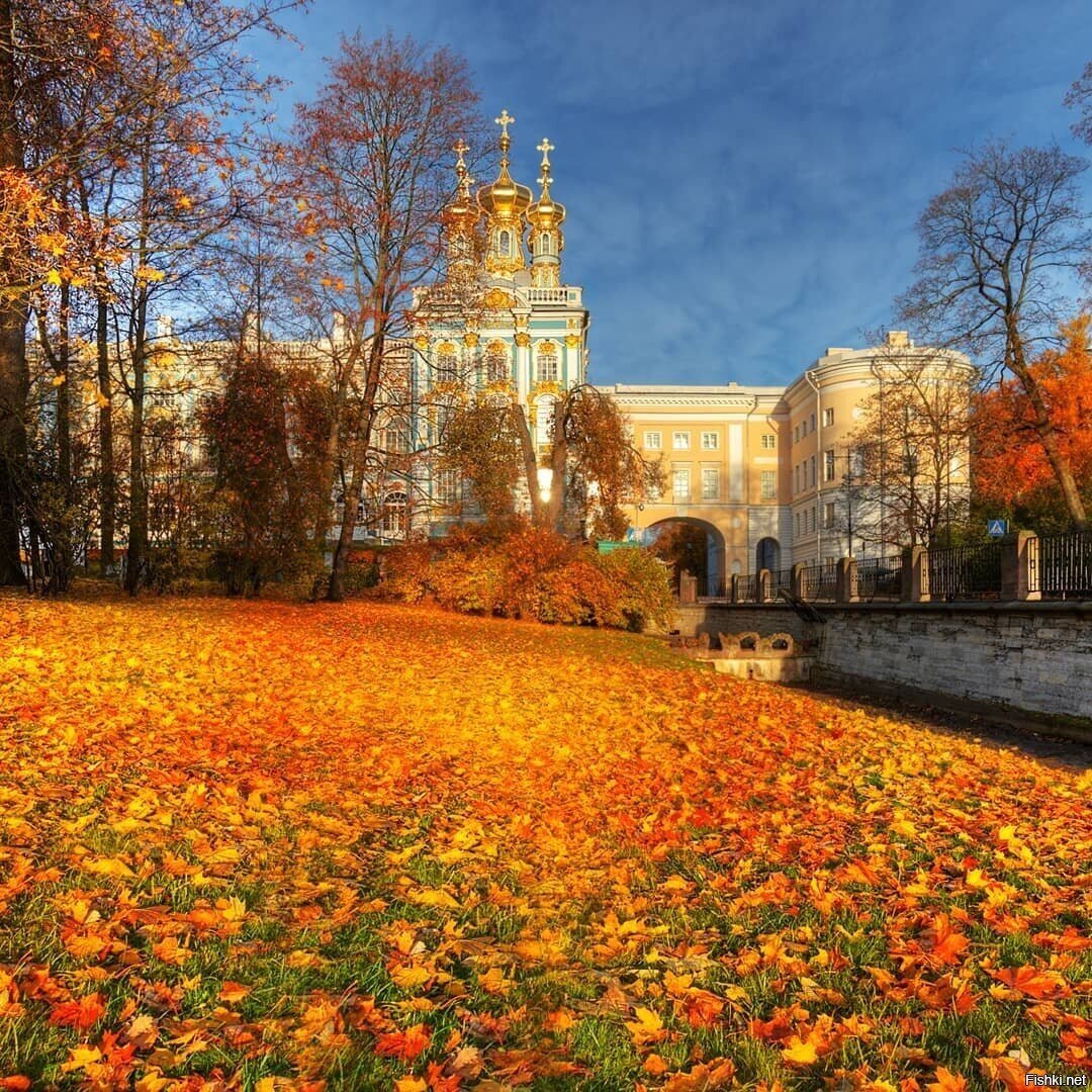 Царское Село