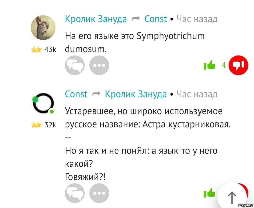 Дорогие друзья